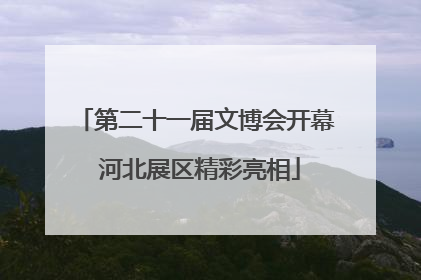 第二十一届文博会开幕 河北展区精彩亮相