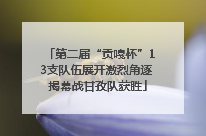 第二届“贡嘎杯”13支队伍展开激烈角逐 揭幕战甘孜队获胜