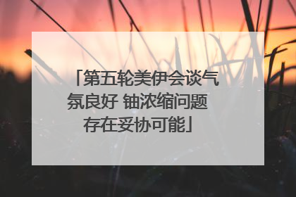 第五轮美伊会谈气氛良好 铀浓缩问题存在妥协可能