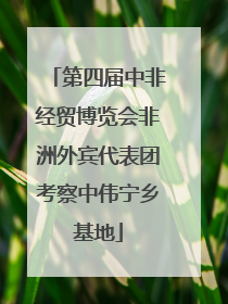 第四届中非经贸博览会非洲外宾代表团考察中伟宁乡基地