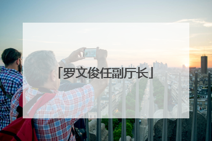 罗文俊任副厅长