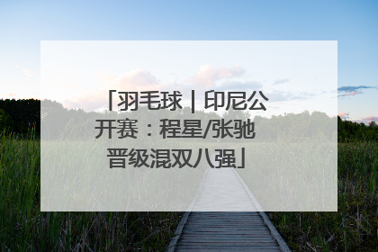羽毛球｜印尼公开赛：程星/张驰晋级混双八强