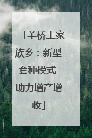 羊桥土家族乡：新型套种模式 助力增产增收