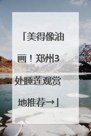 美得像油画！郑州3处睡莲观赏地推荐→