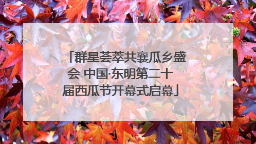 群星荟萃共襄瓜乡盛会 中国·东明第二十届西瓜节开幕式启幕