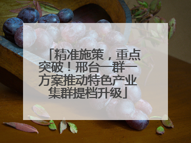 精准施策，重点突破！邢台一群一方案推动特色产业集群提档升级