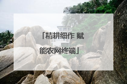 精耕细作 赋能农网终端