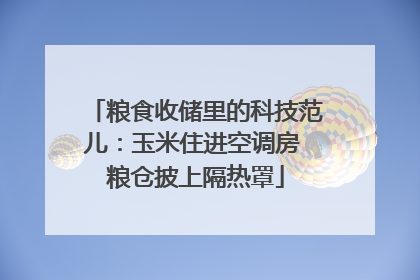 粮食收储里的科技范儿：玉米住进空调房 粮仓披上隔热罩