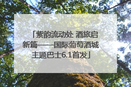 紫韵流动处 酒旅启新篇——国际葡萄酒城主题巴士6.1首发