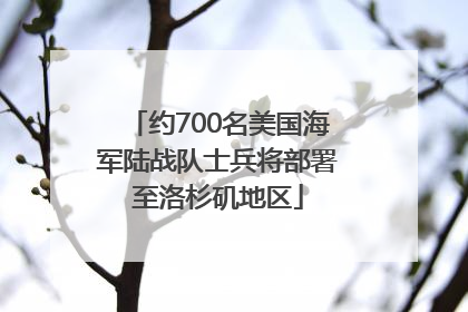 约700名美国海军陆战队士兵将部署至洛杉矶地区