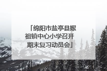 绵阳市盐亭县嫘祖镇中心小学召开期末复习动员会