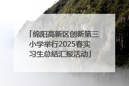 绵阳高新区创新第三小学举行2025春实习生总结汇报活动