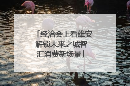 经洽会上看雄安 解锁未来之城智汇消费新场景