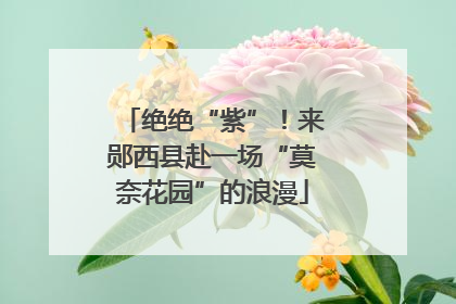 绝绝“紫”！来郧西县赴一场“莫奈花园”的浪漫