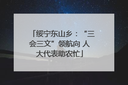 绥宁东山乡：“三会三文”领航向 人大代表助农忙