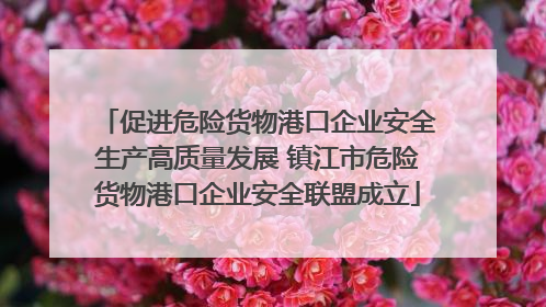 促进危险货物港口企业安全生产高质量发展 镇江市危险货物港口企业安全联盟成立