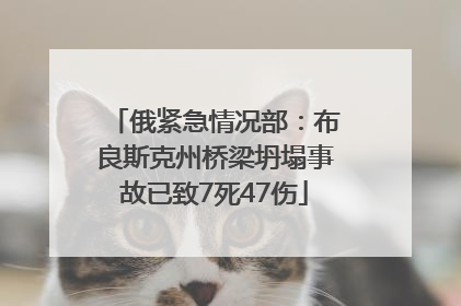 俄紧急情况部：布良斯克州桥梁坍塌事故已致7死47伤
