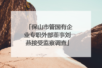 保山市管国有企业专职外部董事刘燕接受监察调查