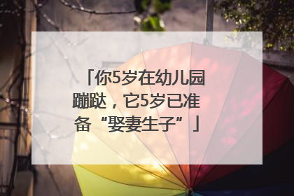 你5岁在幼儿园蹦跶，它5岁已准备“娶妻生子”