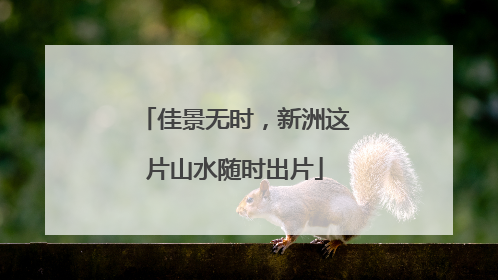 佳景无时，新洲这片山水随时出片