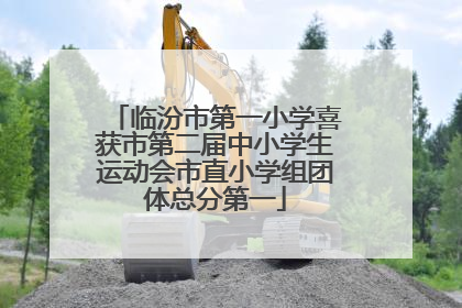 临汾市第一小学喜获市第二届中小学生运动会市直小学组团体总分第一