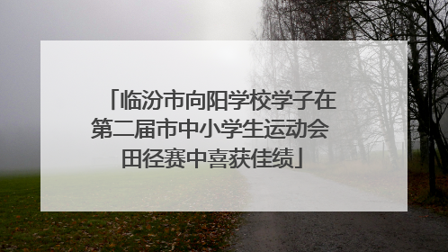 临汾市向阳学校学子在第二届市中小学生运动会田径赛中喜获佳绩