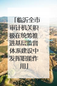 临沂全市审计机关积极在统筹推进基层监督体系建设中发挥职能作用