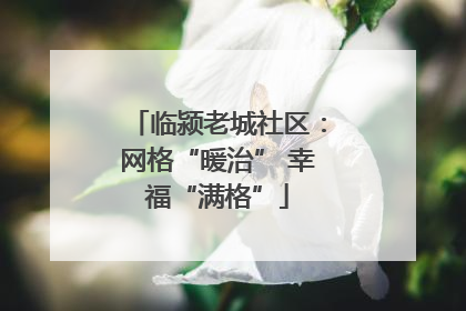 临颍老城社区：网格“暖治” 幸福“满格”