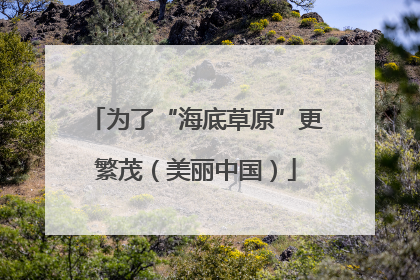 为了“海底草原”更繁茂（美丽中国）