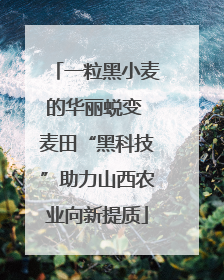 一粒黑小麦的华丽蜕变 麦田“黑科技”助力山西农业向新提质