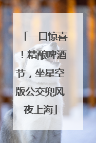 一口惊喜！精酿啤酒节，坐星空版公交兜风夜上海