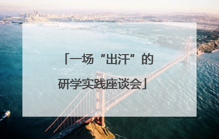 一场“出汗”的研学实践座谈会