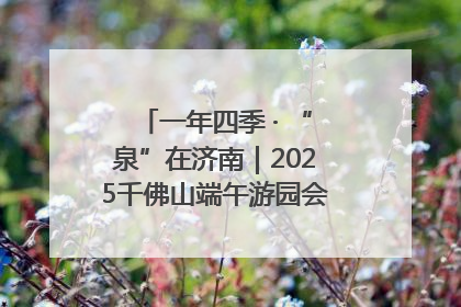 一年四季 · “泉”在济南｜2025千佛山端午游园会邀您共享亲子时光