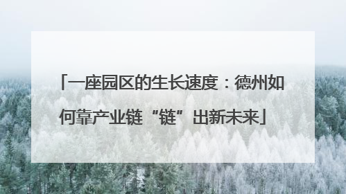 一座园区的生长速度：德州如何靠产业链“链”出新未来