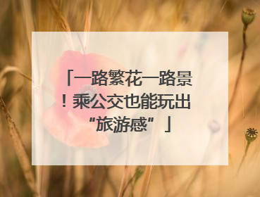 一路繁花一路景！乘公交也能玩出“旅游感”