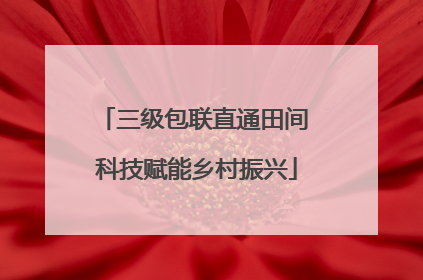 三级包联直通田间 科技赋能乡村振兴