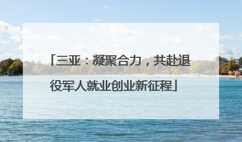 三亚：凝聚合力，共赴退役军人就业创业新征程