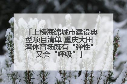 上榜海绵城市建设典型项目清单 重庆大田湾体育场既有“弹性”又会“呼吸”