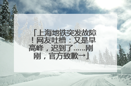 上海地铁突发故障！网友吐槽：又是早高峰，迟到了……刚刚，官方致歉→
