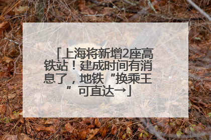 上海将新增2座高铁站！建成时间有消息了，地铁“换乘王”可直达→