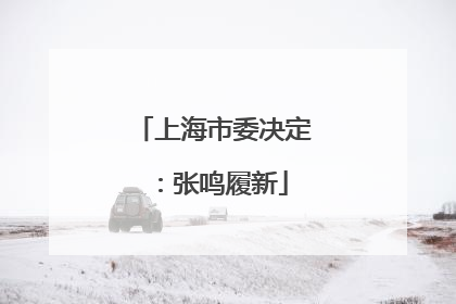 上海市委决定：张鸣履新