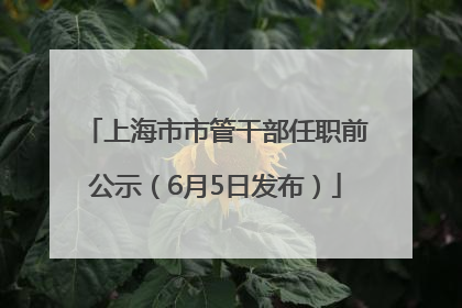 上海市市管干部任职前公示（6月5日发布）