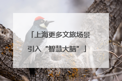 上海更多文旅场景引入“智慧大脑”