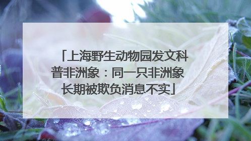 上海野生动物园发文科普非洲象：同一只非洲象长期被欺负消息不实