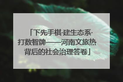 下先手棋·建生态系·打数智牌——河南文旅热背后的社会治理答卷