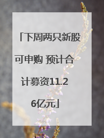 下周两只新股可申购 预计合计募资11.26亿元