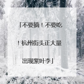 不要摘！不要吃！杭州街头正大量出现紫叶李