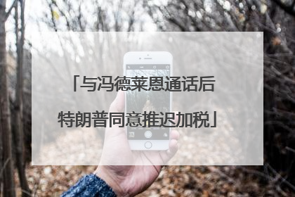与冯德莱恩通话后 特朗普同意推迟加税