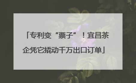 专利变“票子”！宜昌茶企凭它撬动千万出口订单