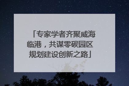 专家学者齐聚威海临港，共谋零碳园区规划建设创新之路